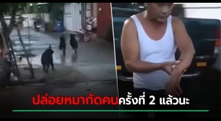 ร็อตไวเลอร์