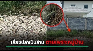 น้ำเสีย