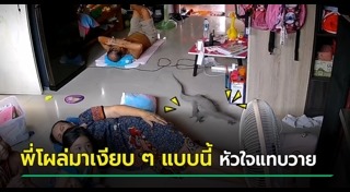 ตัวเงินตัวทองเข้าบ้าน