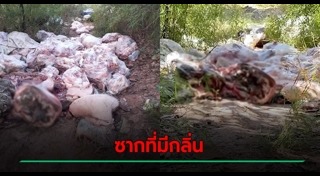 ซากสัตว์