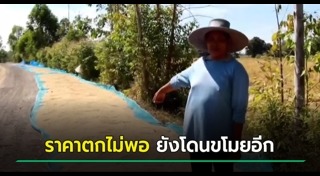 ข้าวสาร