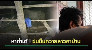 ข่มขืนสัตว์