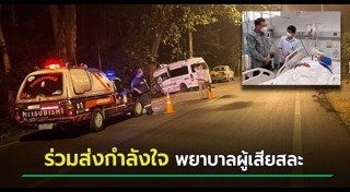 รถชนต้นไม้