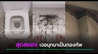 กิ้งกือ