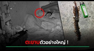 ตะขาบยักษ์