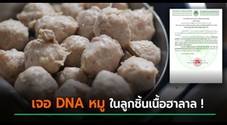 ศาสนาอิสลาม