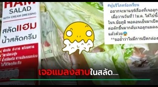 สลัดผัก