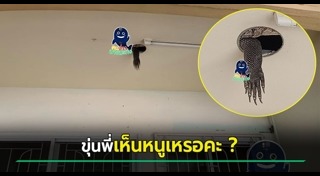 ตัวเงินตัวทองเข้าบ้าน