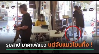 คาเฟ่แมว