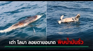 น้ำมันรั่ว