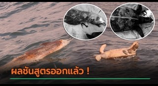 น้ำมันรั่ว