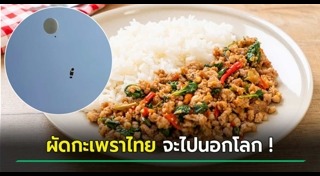 การทดลอง