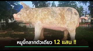 ประติมากรรม