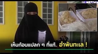 อำพันทะเล