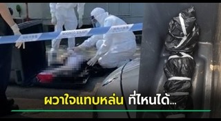 ตุ๊กตายาง