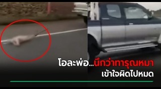 รถชนหมา