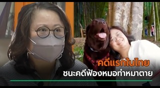 สุนัขป่วย