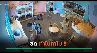 คาเฟ่แมว