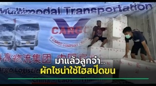 ผักสวนครัว