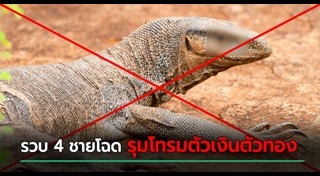 ข่มขืนสัตว์