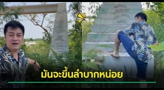 อ๋อง ปดิพัทธ์