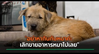 อาหารหมา