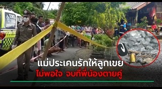 พี่น้องทะเลาะกัน