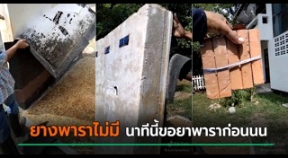 ยางพารา