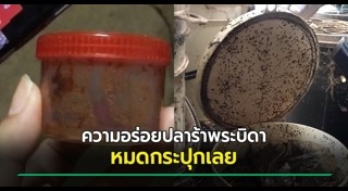 พระบิดา