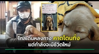 สุนัขหาย