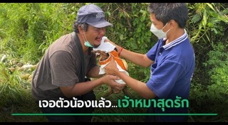 สุนัขหาย