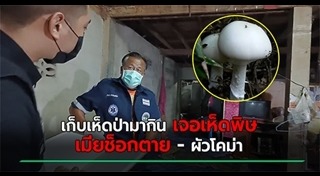 แกงเห็ด
