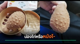 ของเล่นญี่ปุ่น