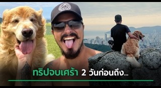 คนกับหมา