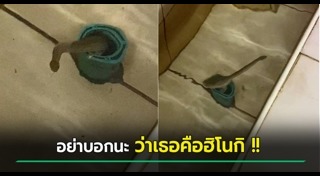 งูในชักโครก