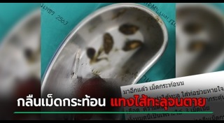 กระท้อน