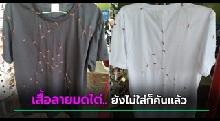เสื้อยืด