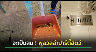 ที่พักภูชี้ฟ้า