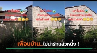 กำแพงบ้าน