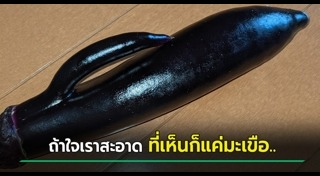 มะเขือ