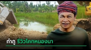 ปลูกข้าว