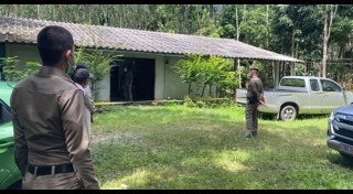 ทารุณกรรมทางเพศ