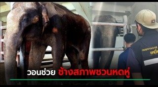 ฟาร์มจระเข้