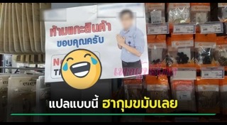 แปลภาษา