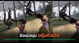 สัตว์ทำร้ายคน