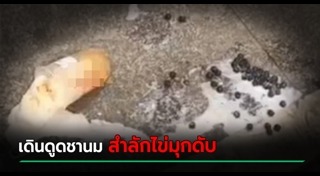 สำลักอาหาร