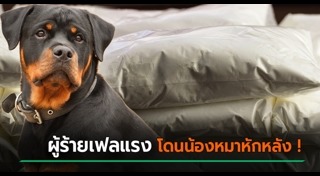 ค้ายาเสพติด