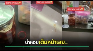 หอยแครง