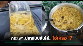 กระเพาะปลา