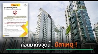 เลี้ยงสุนัข